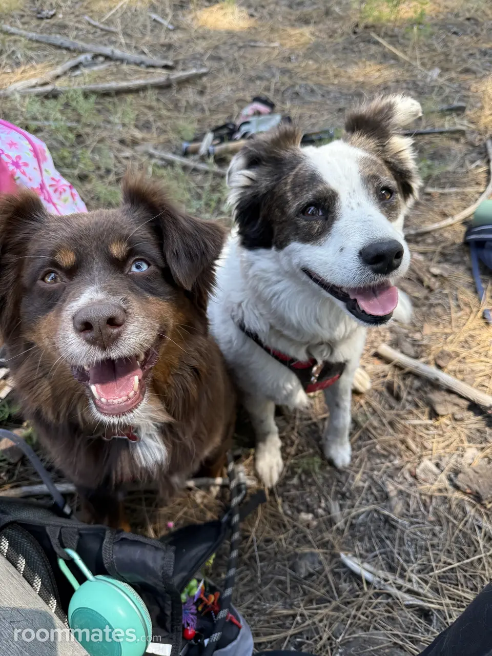 Profile photo 5 of 7