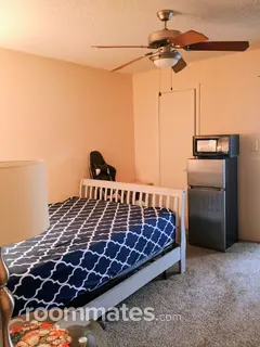 Room for rent in Tampa, FL $700, apartment