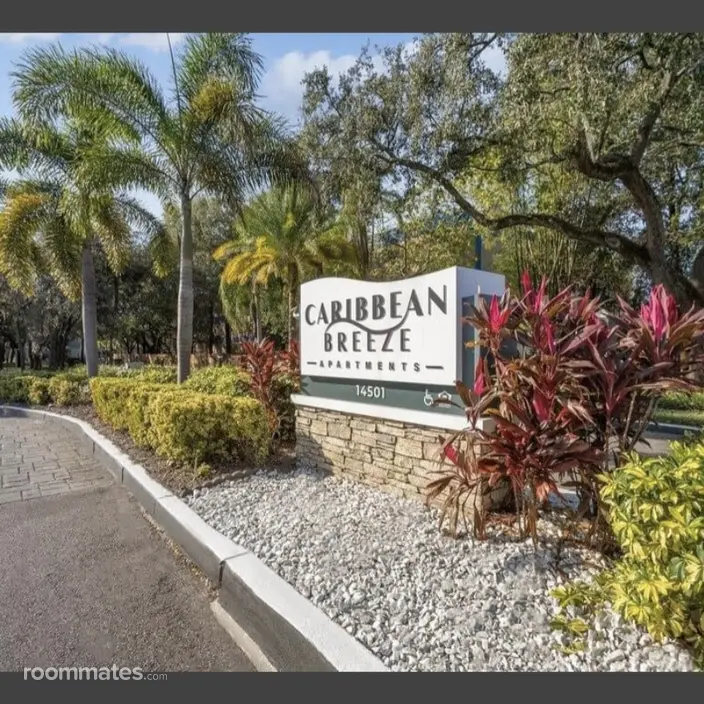 Room for rent in Tampa, FL $500, apartment