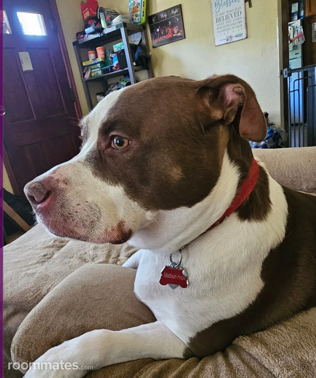 Profile photo 2 of 8