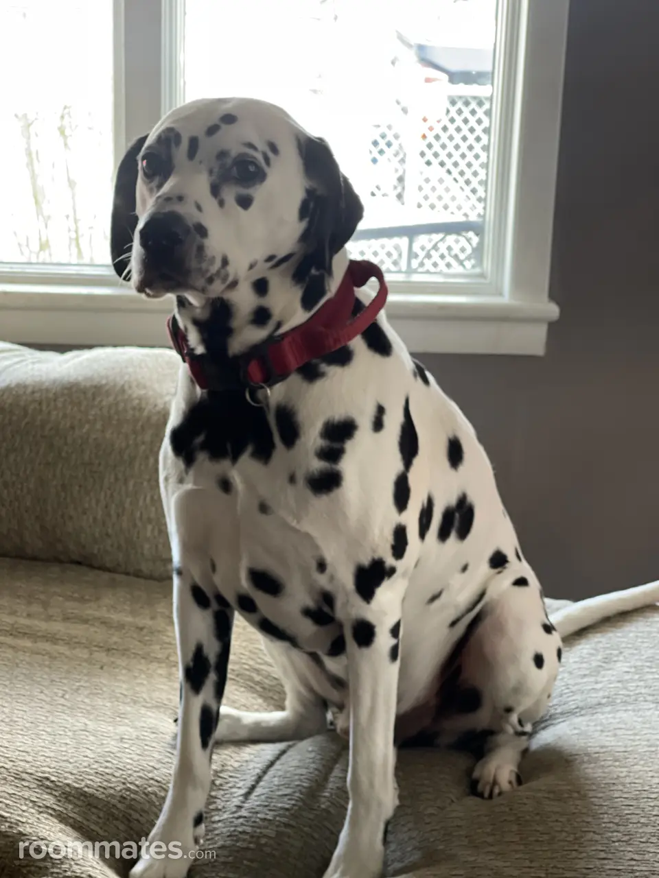 Profile photo 3 of 5