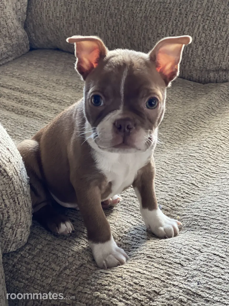 Profile photo 4 of 5