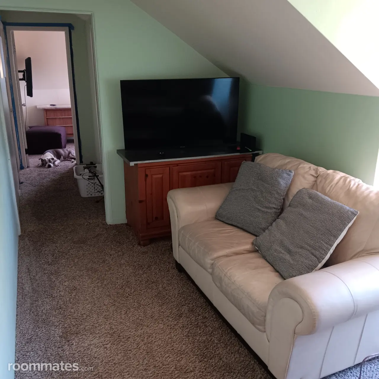 Profile photo 2 of 9