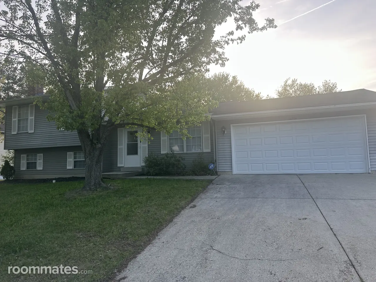 Profile photo 5 of 6