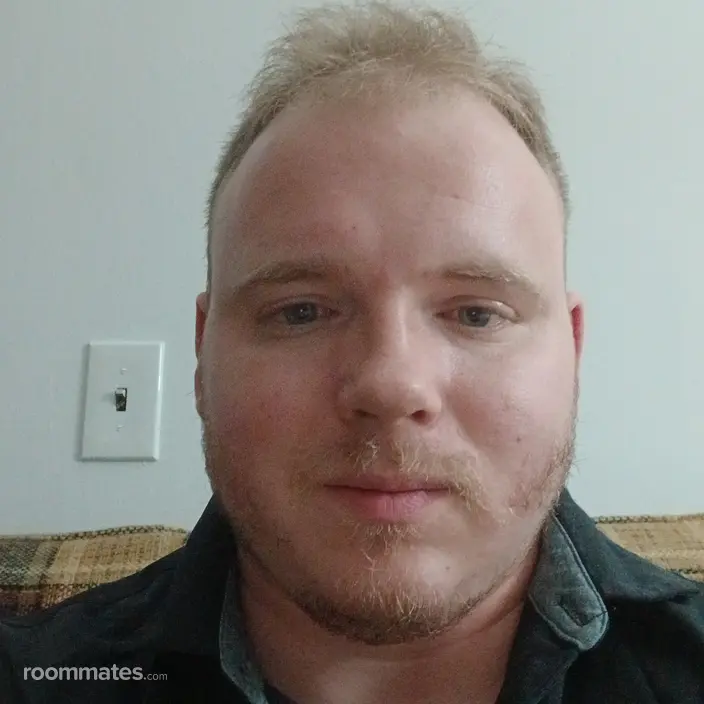 Roommate looking Albany, NY, $1200