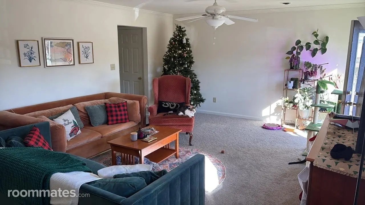 Profile photo 2 of 8