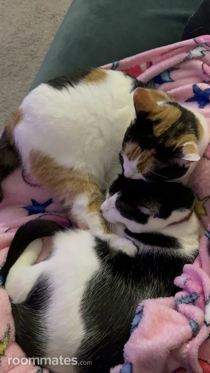 Profile photo 5 of 8