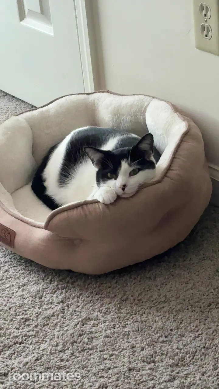 Profile photo 6 of 8