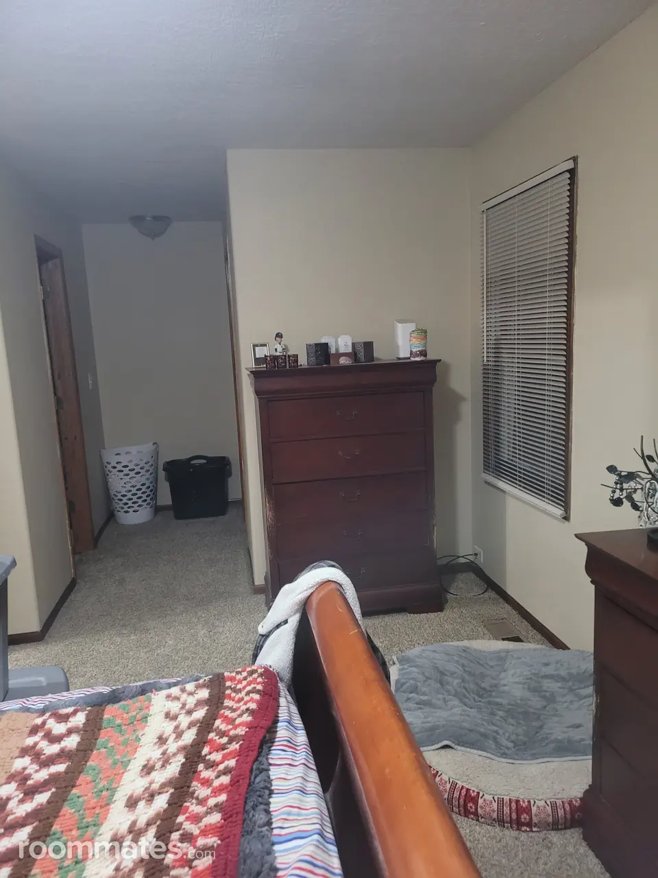 Profile photo 1 of 12