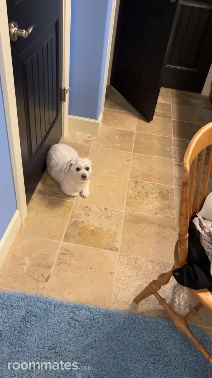 Profile photo 1 of 2