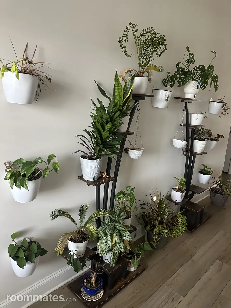 Profile photo 3 of 10