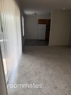 Room for rent in St. Petersburg, FL $1100, apartment