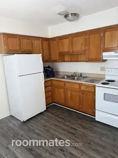Room for rent in St. Petersburg, FL $1100, apartment