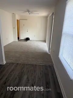 Room for rent in St. Petersburg, FL $1100, apartment