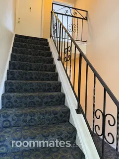 Room for rent in St. Petersburg, FL $1100, apartment