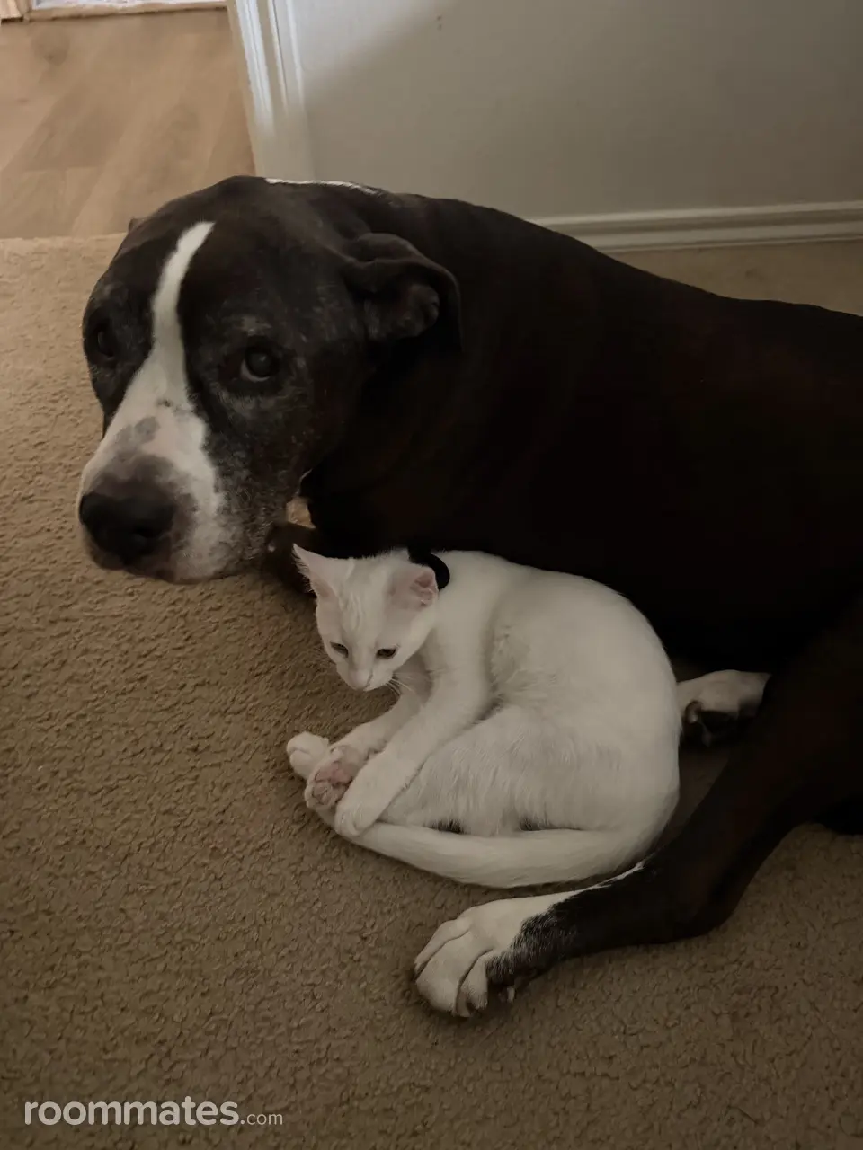 Profile photo 4 of 6