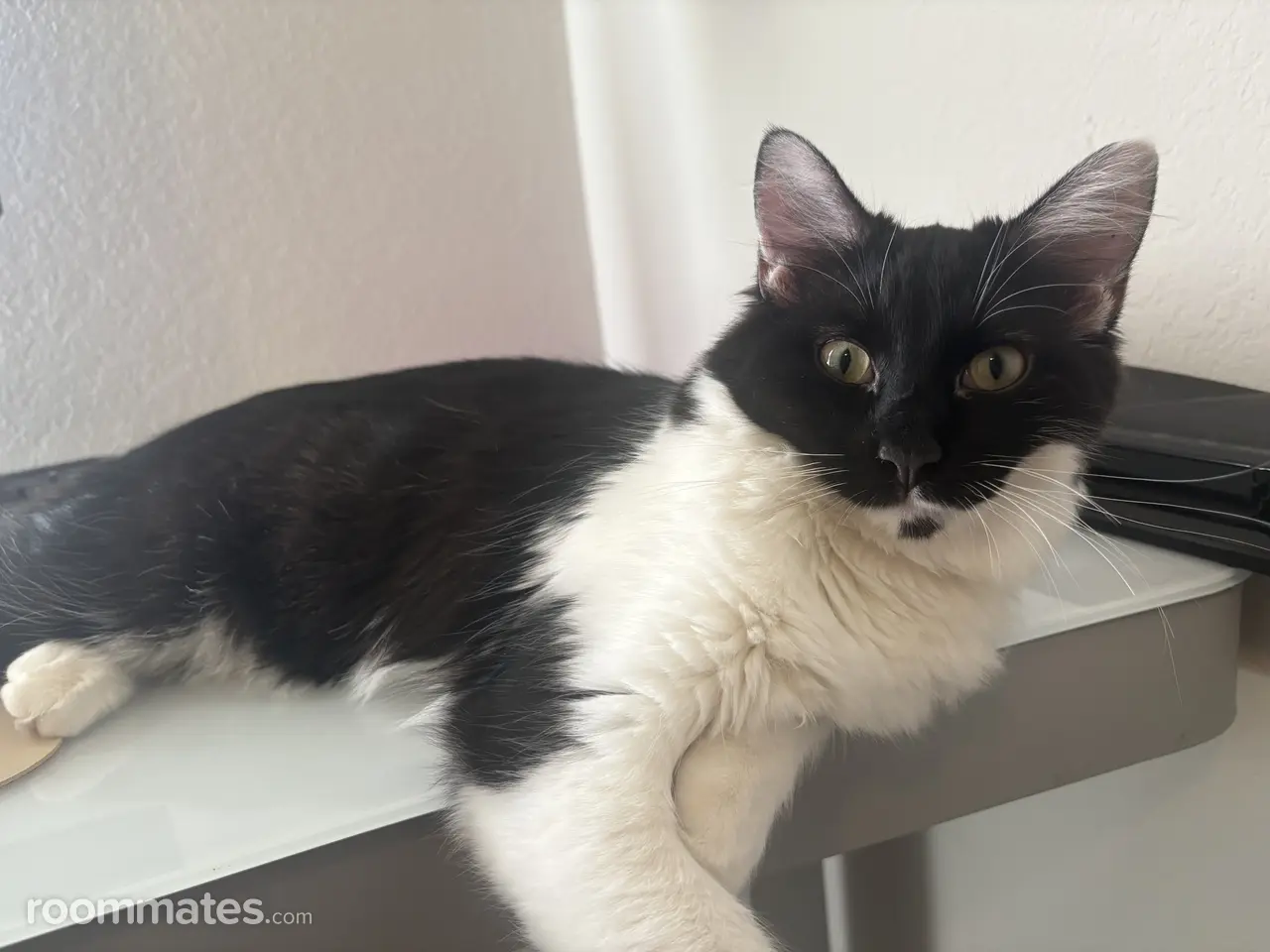 Profile photo 5 of 6