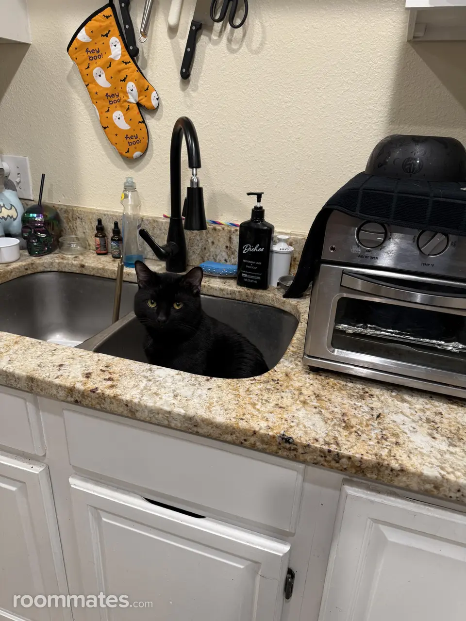 Profile photo 5 of 9