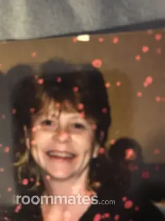 Roommate looking Joliet, IL, $800