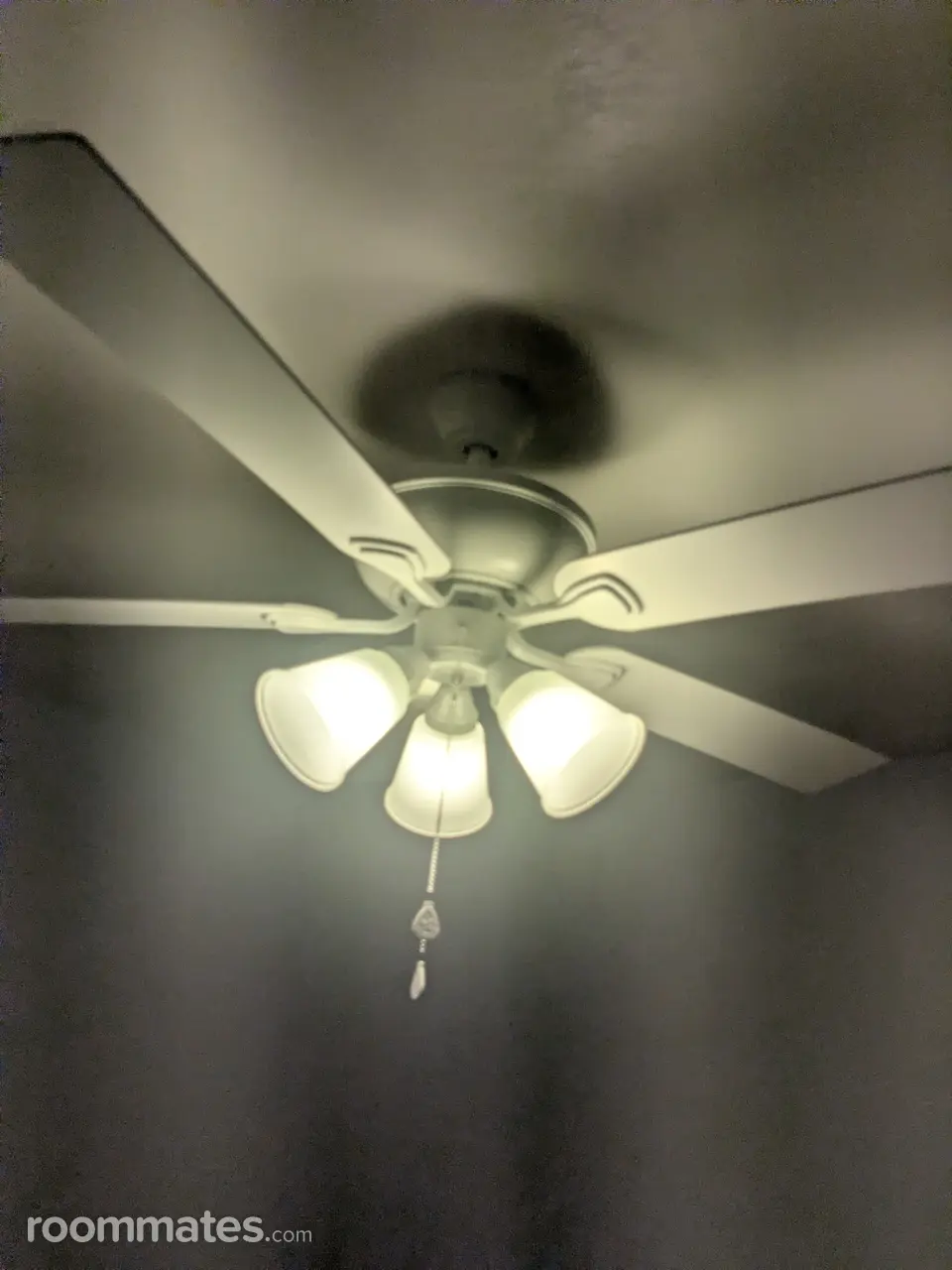 Profile photo 3 of 7