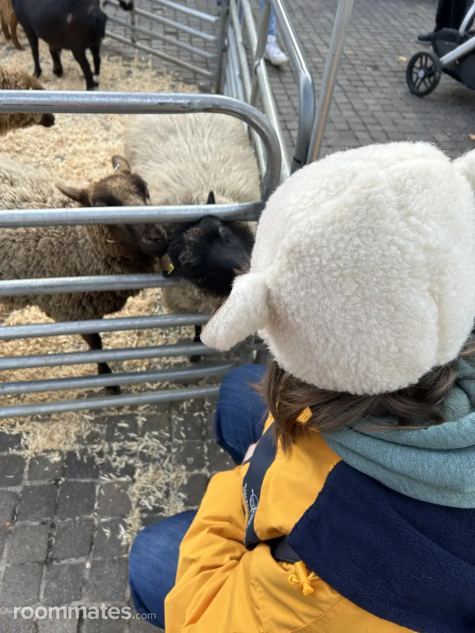 Profile photo 14 of 16