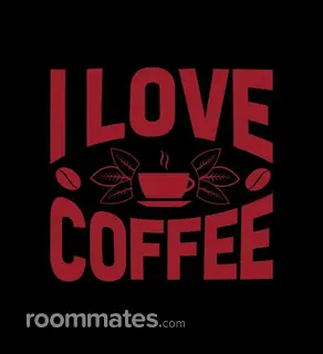 Roommate looking Chicago, IL, $600