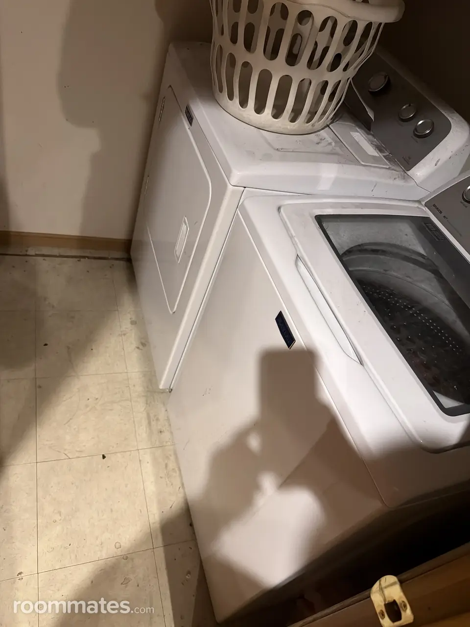 Profile photo 3 of 9