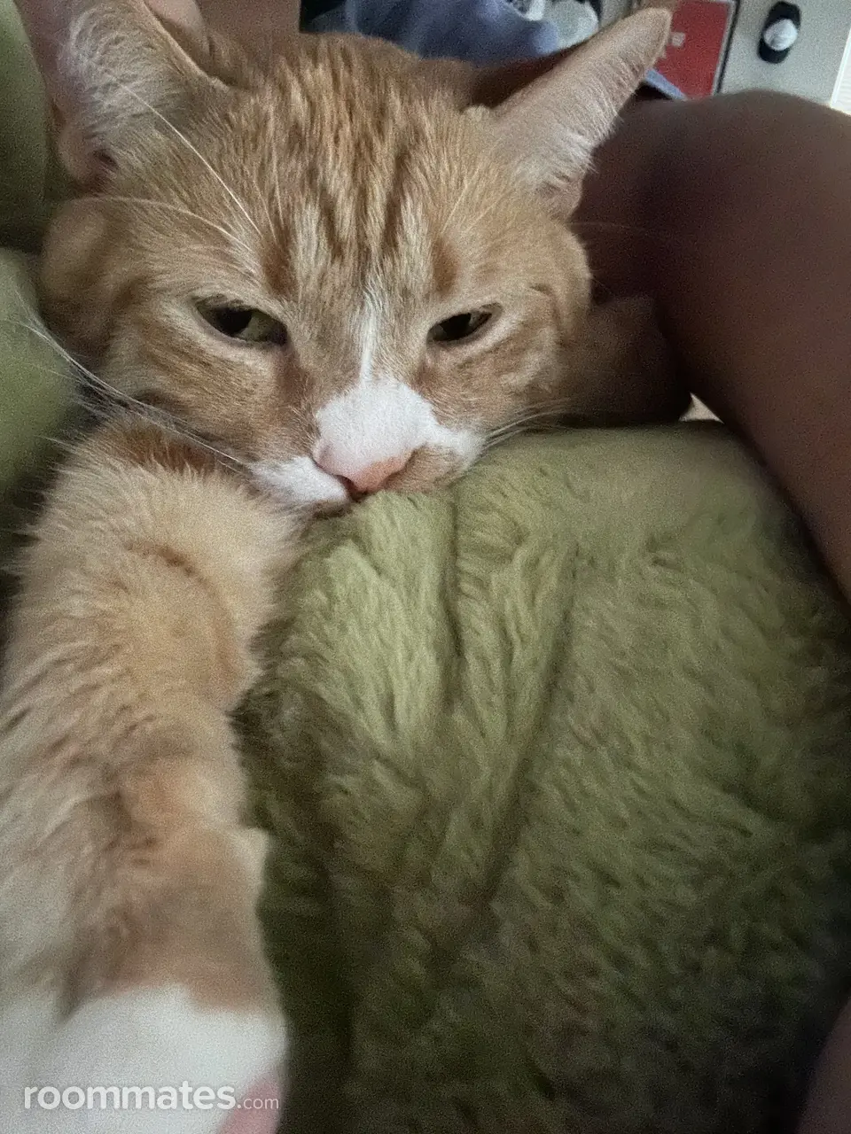 Profile photo 3 of 3