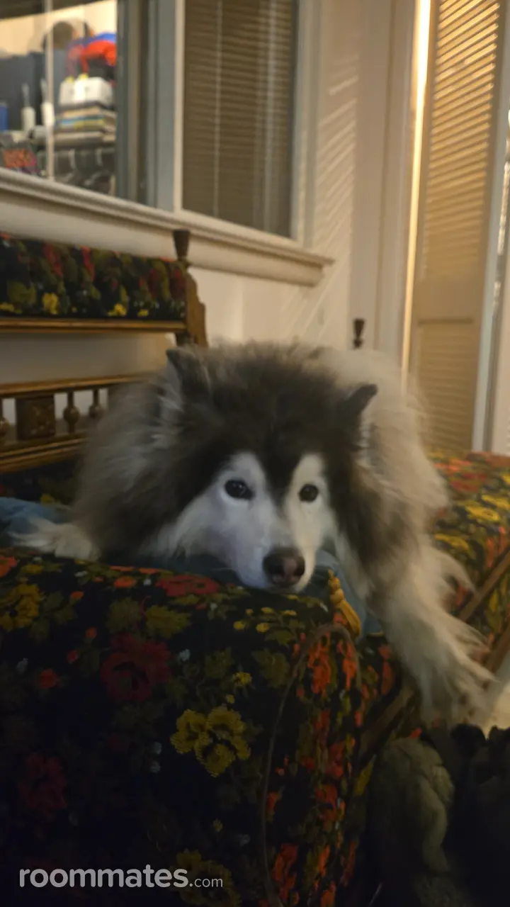 Profile photo 13 of 17