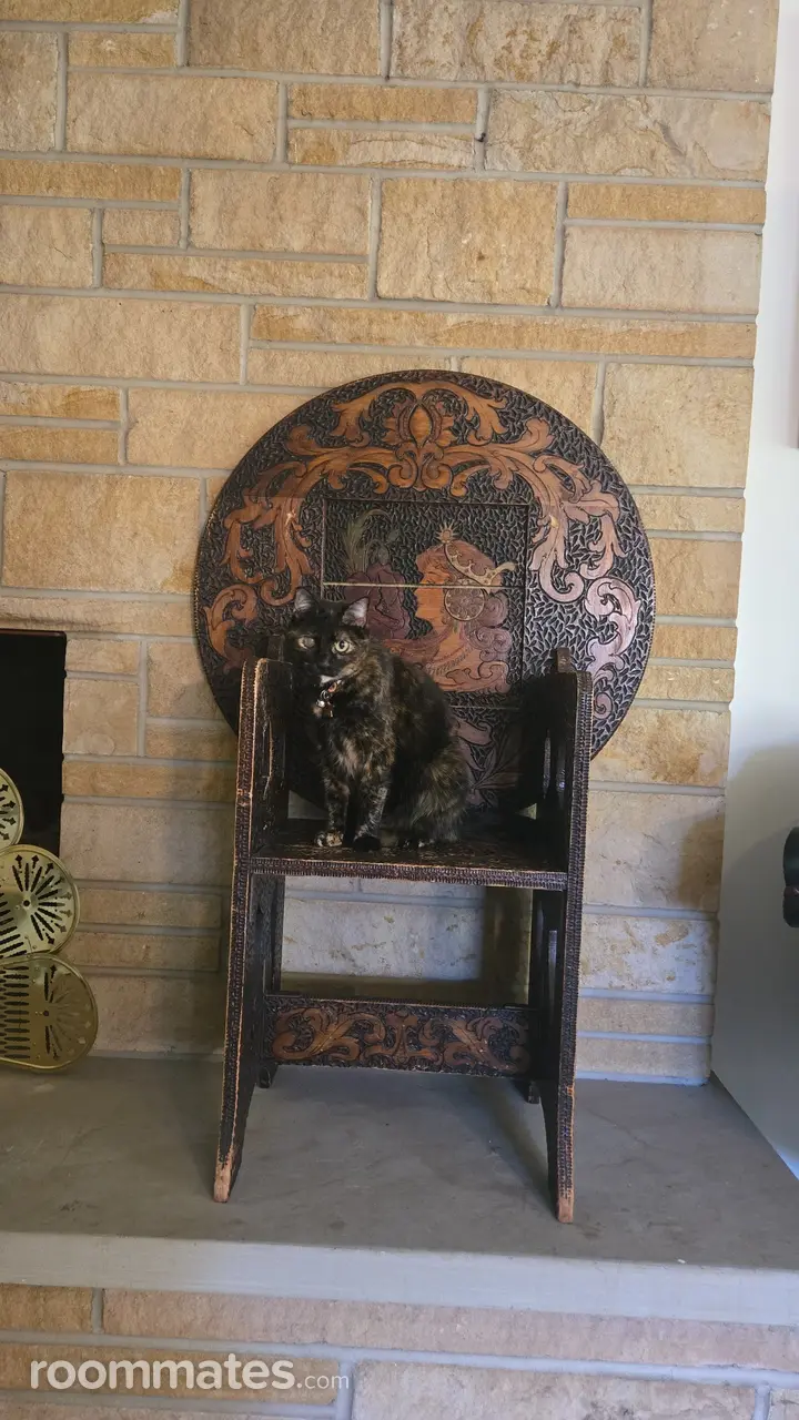 Profile photo 12 of 17