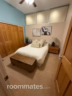 Room for rent in Chicago, IL $2000, condo