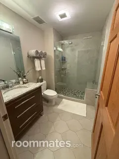 Room for rent in Chicago, IL $2000, condo