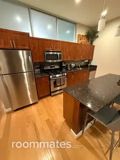 Room for rent in Chicago, IL $2000, condo