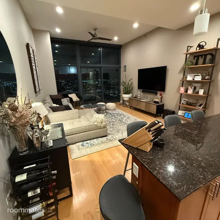 Room for rent in Chicago, IL $2000, condo