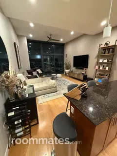 Room for rent in Chicago, IL $2000, condo