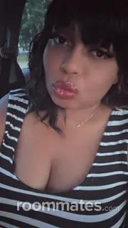 Roommate looking Lansing, MI, $800