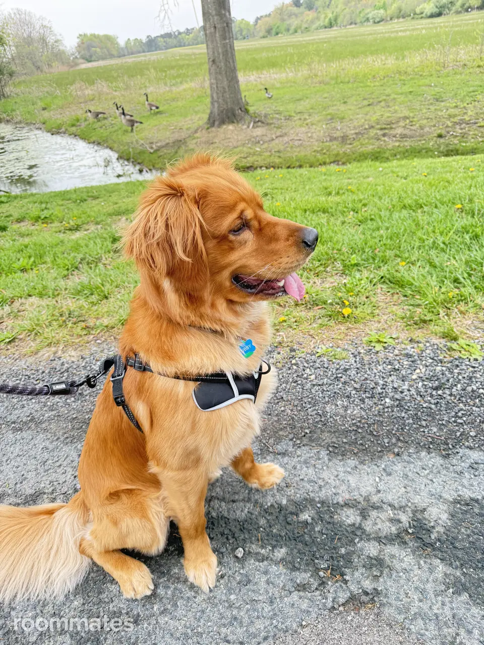 Profile photo 6 of 7