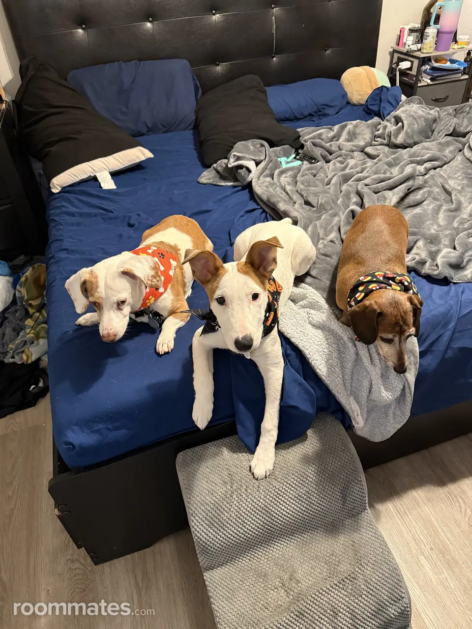 Profile photo 9 of 9