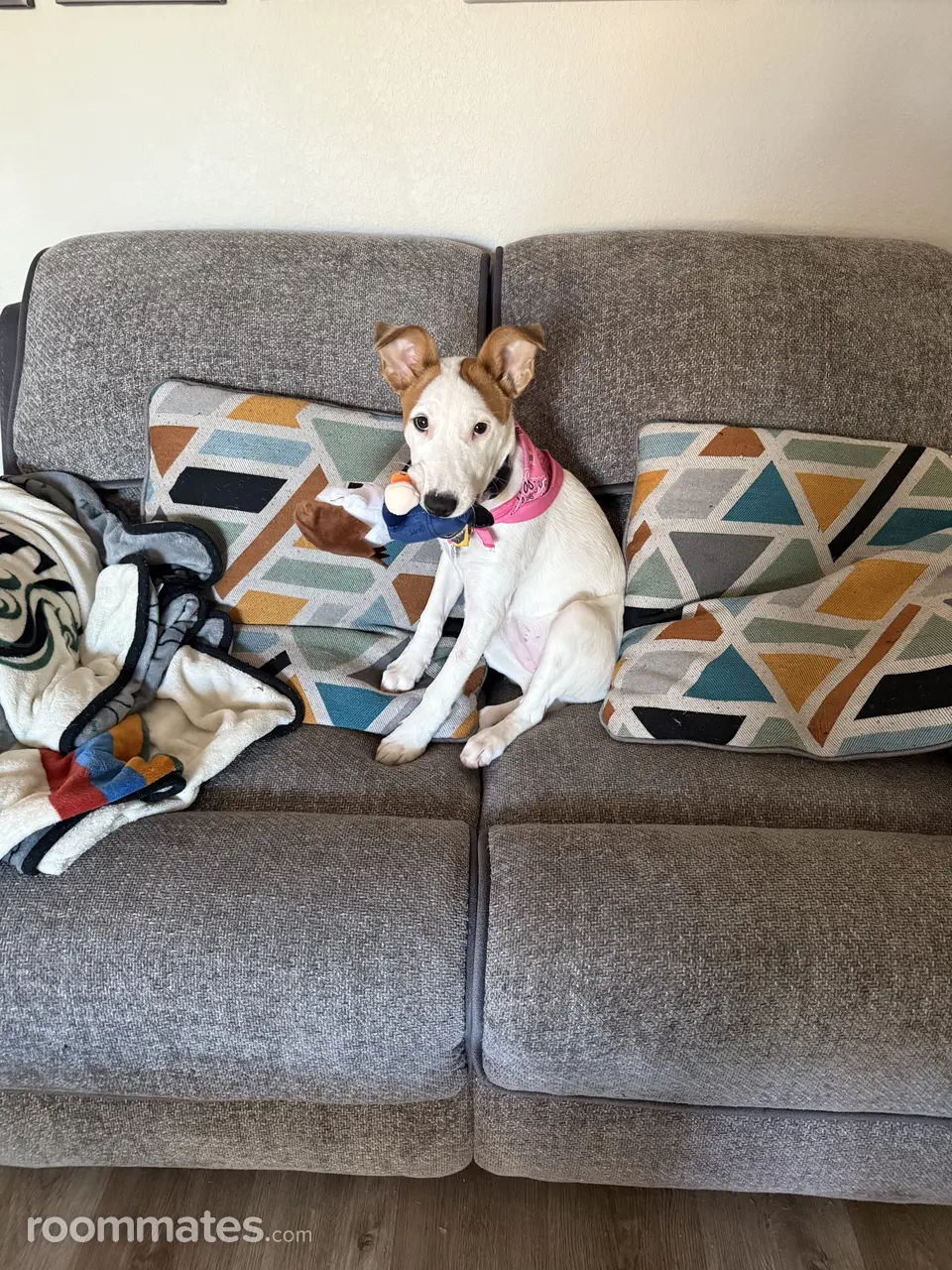 Profile photo 5 of 9