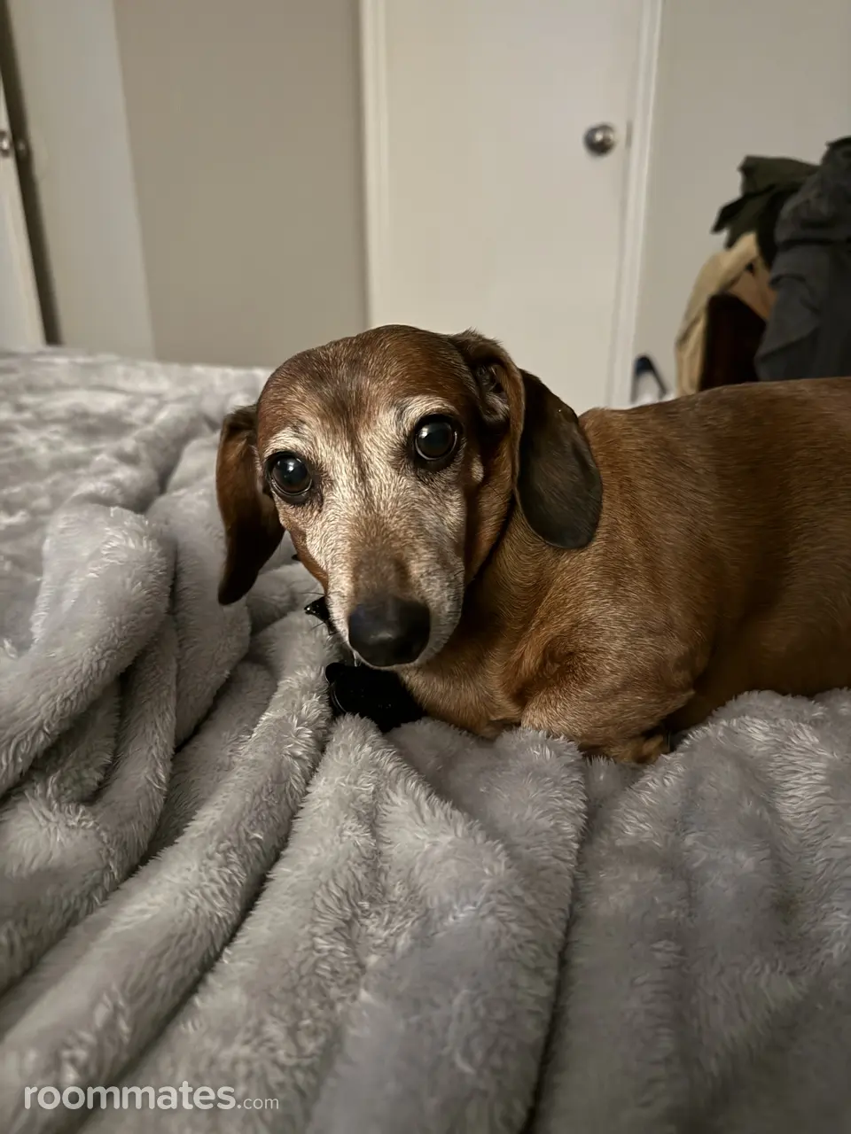 Profile photo 6 of 9