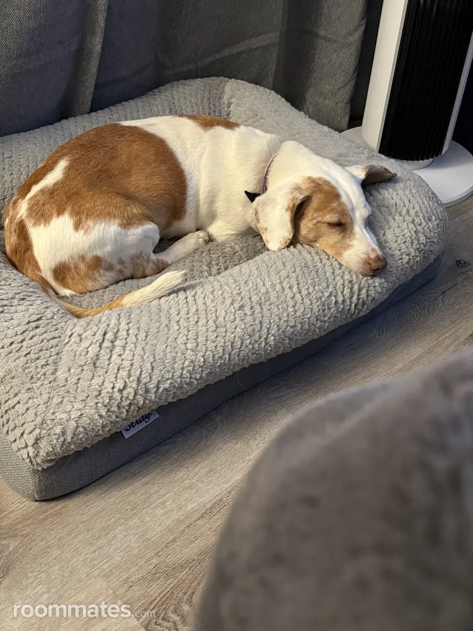 Profile photo 8 of 9