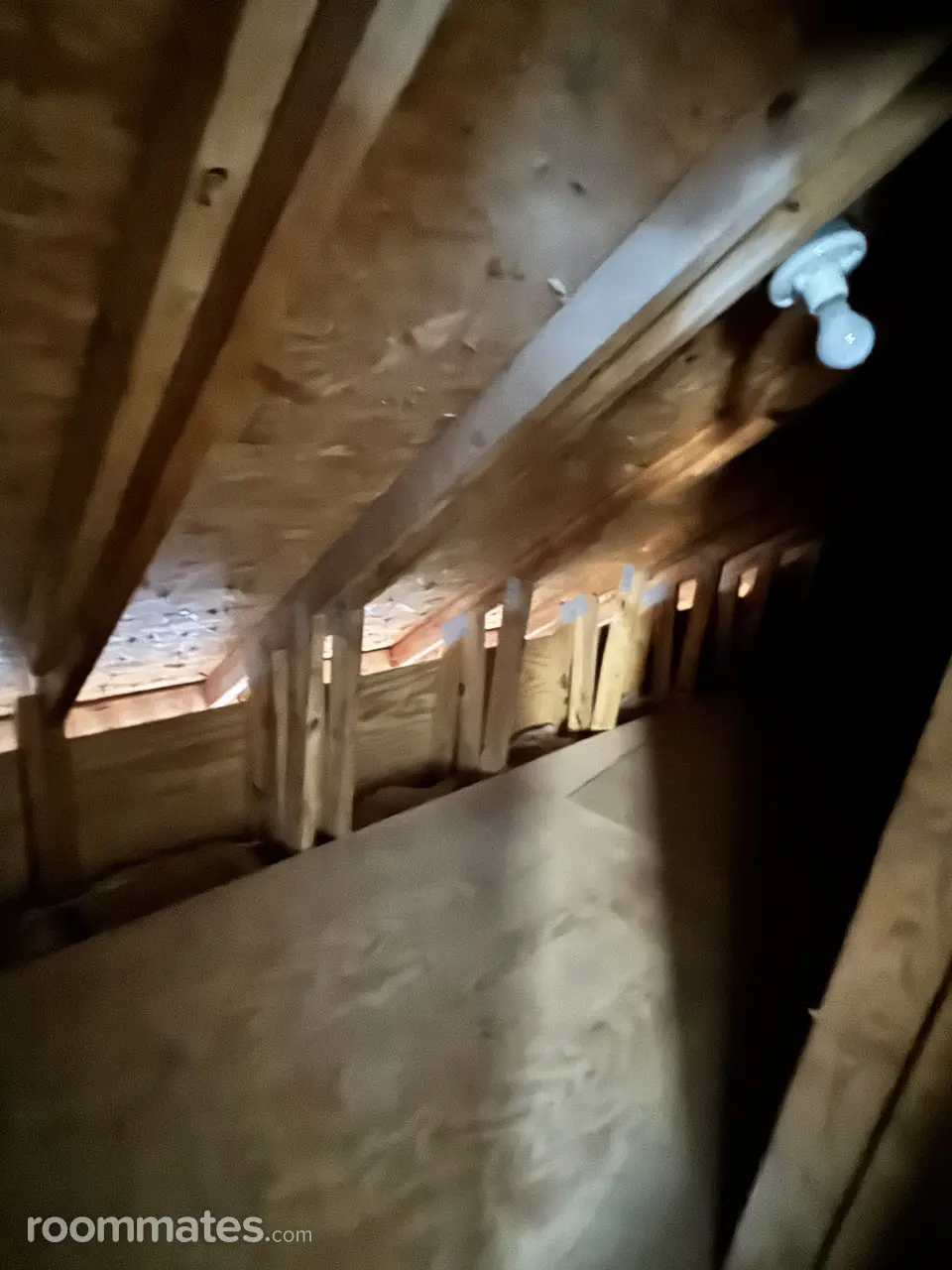 Profile photo 7 of 14