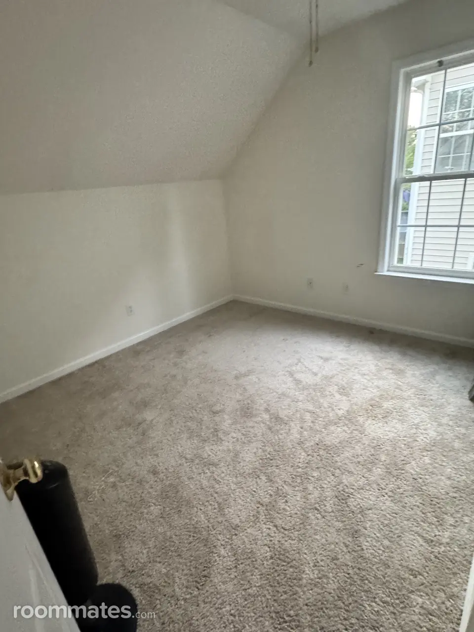 Profile photo 4 of 14