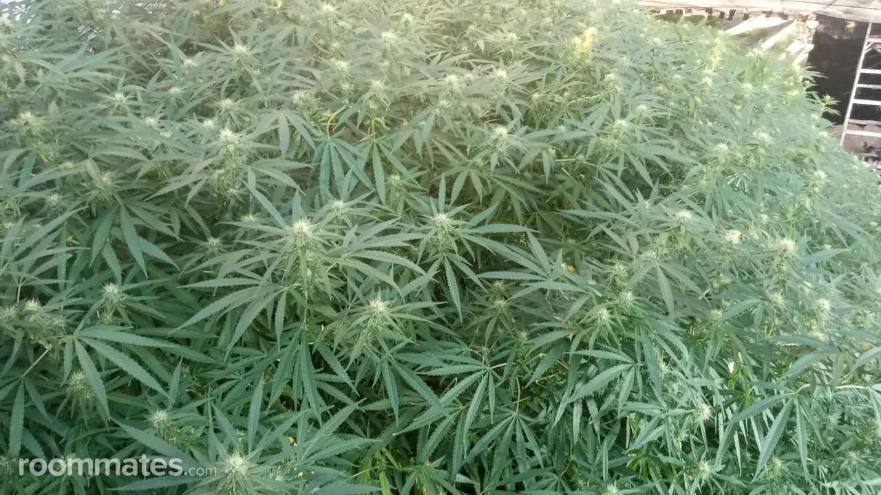 Profile photo 9 of 19