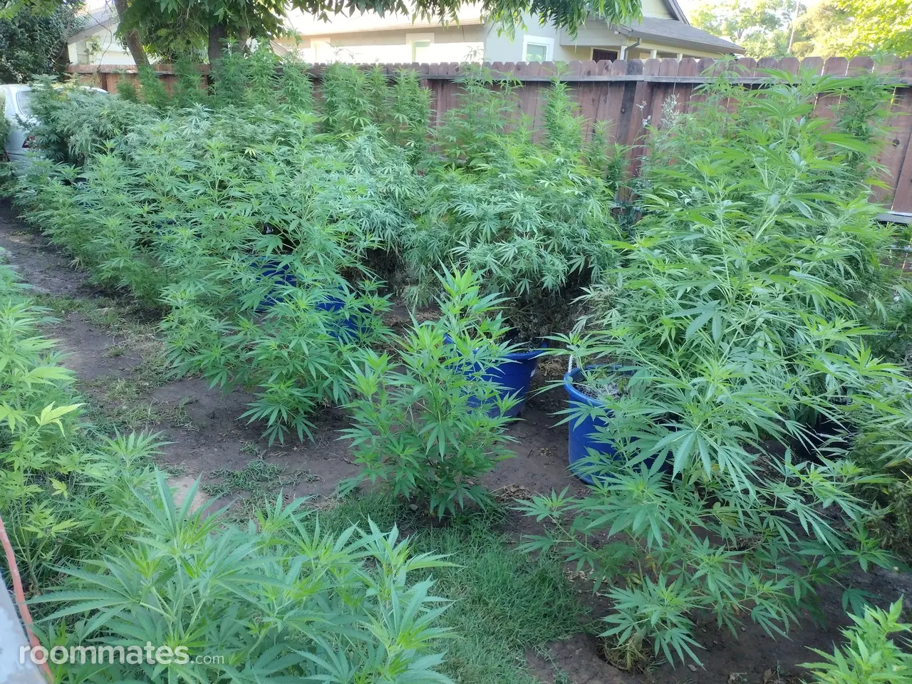 Profile photo 13 of 19