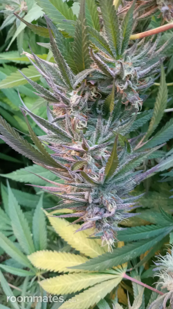 Profile photo 17 of 19