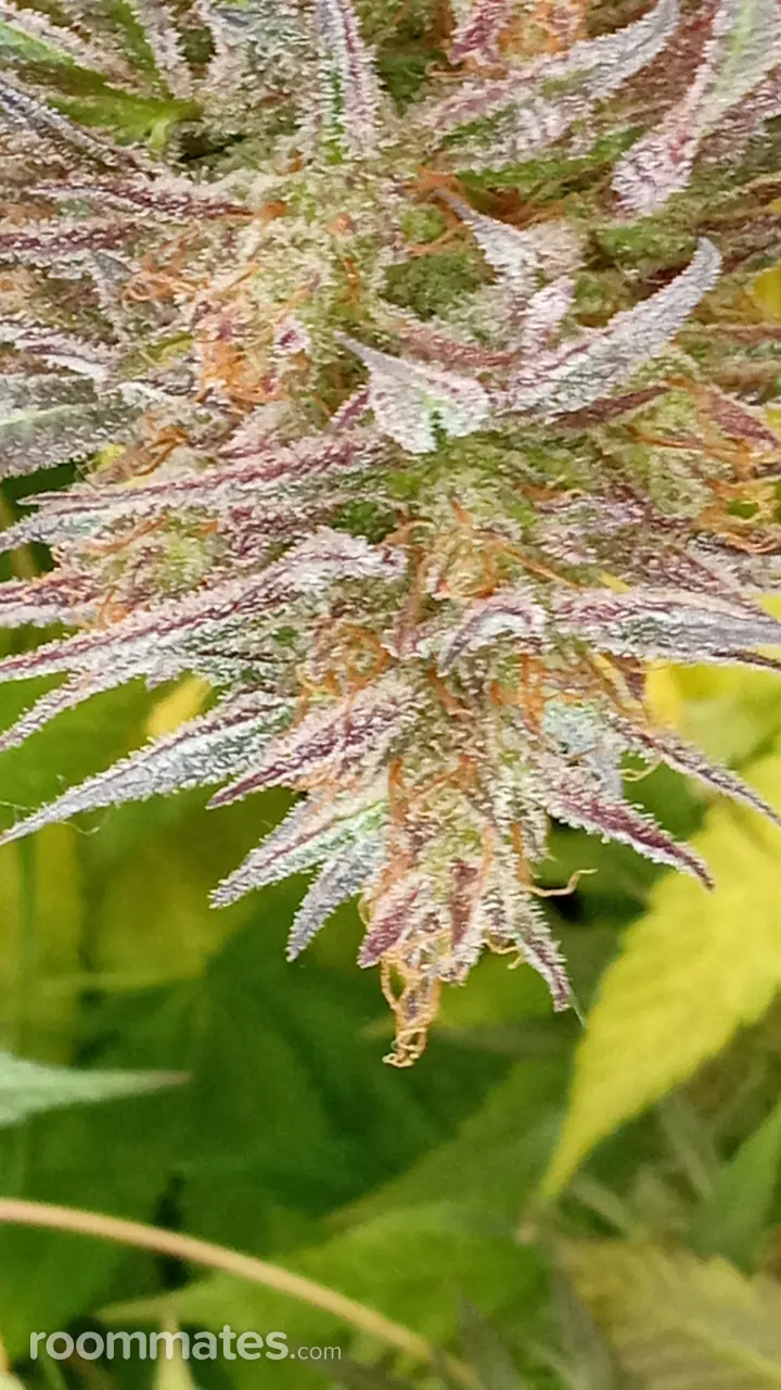 Profile photo 10 of 19