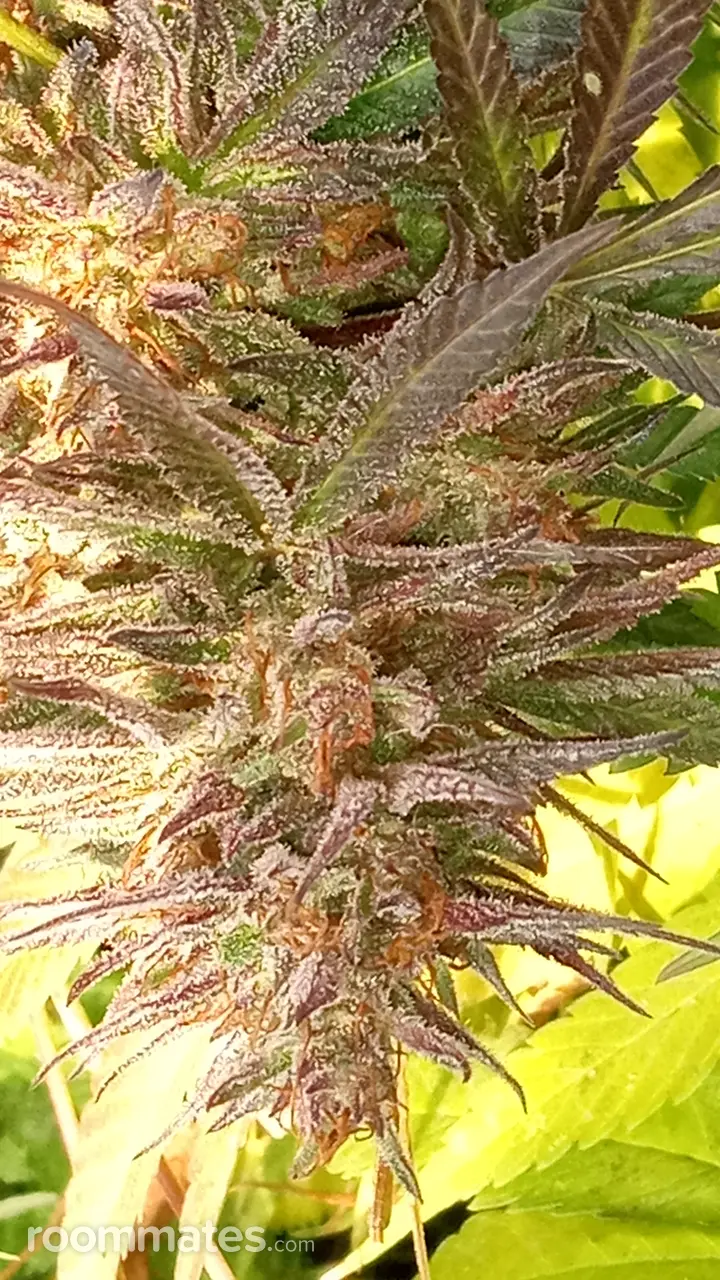 Profile photo 11 of 19