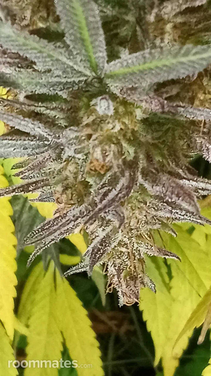 Profile photo 18 of 19