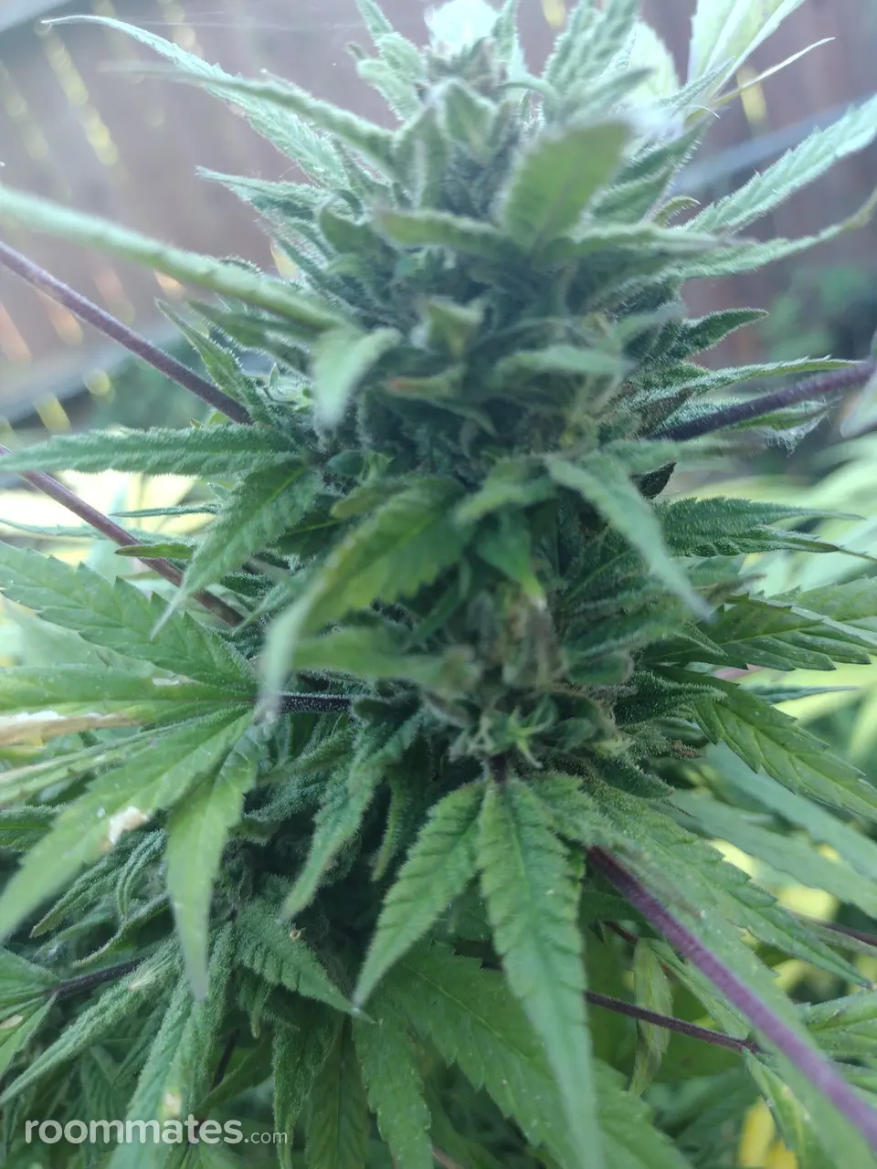 Profile photo 19 of 19